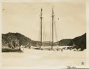Image of Bowdoin against pan of ice